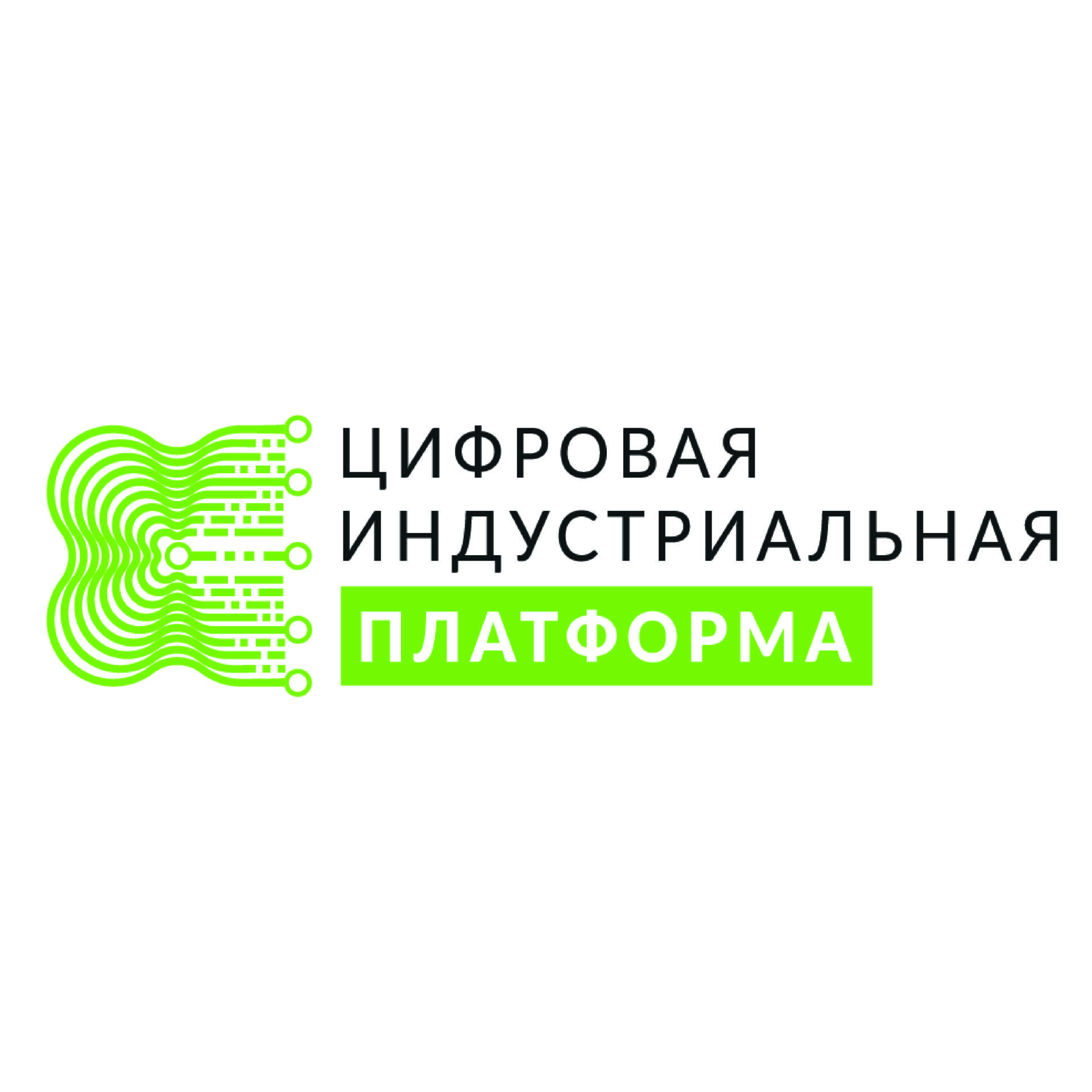 ООО «Цифровая индустриальная платформа»